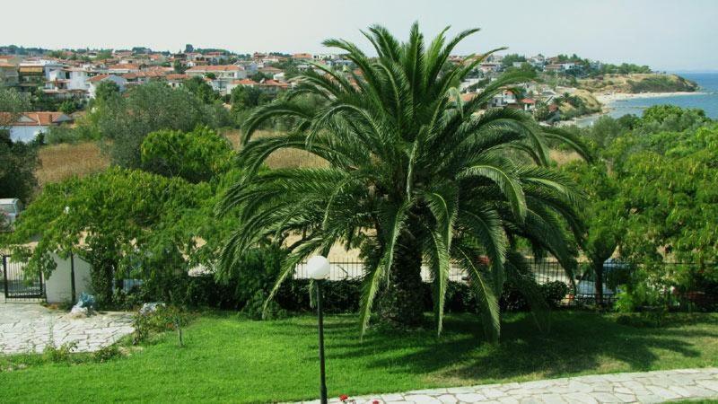 Villa Madeleine Tower View Néa Fókaia Εξωτερικό φωτογραφία